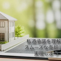 画像244